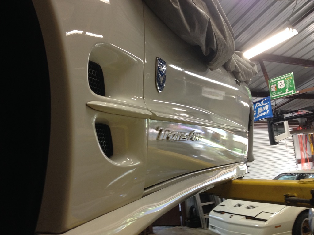 Name:  IMG_3101_zpswdcvzagj.jpg
Views: 26771
Size:  164.3 KB