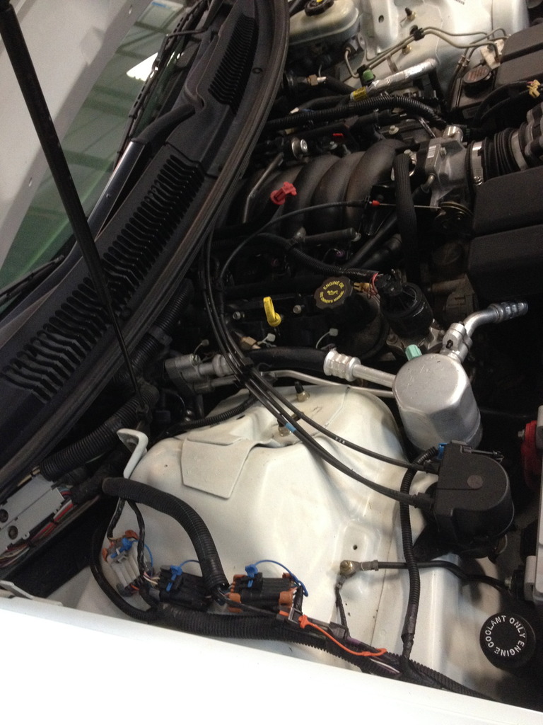 Name:  IMG_3125_zpspownc79q.jpg
Views: 27581
Size:  201.9 KB