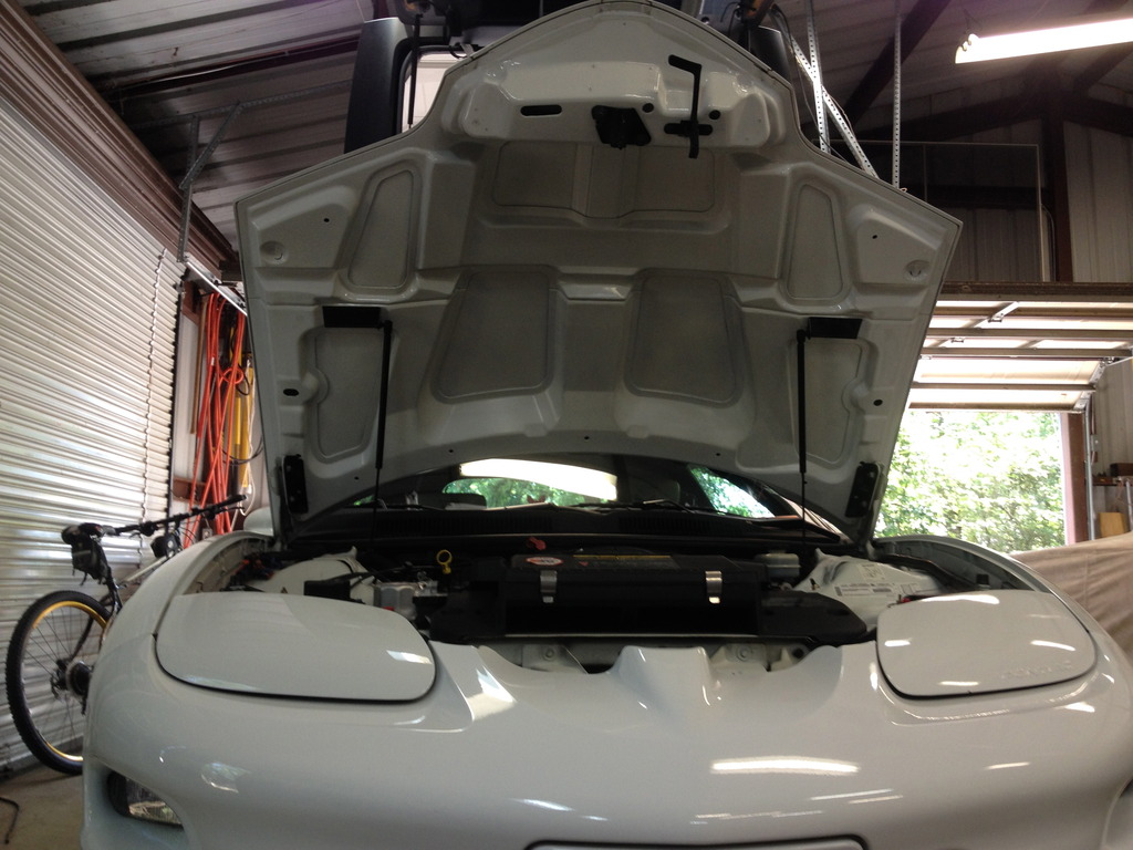 Name:  IMG_3127_zpsnczw3rzb.jpg
Views: 27164
Size:  200.6 KB