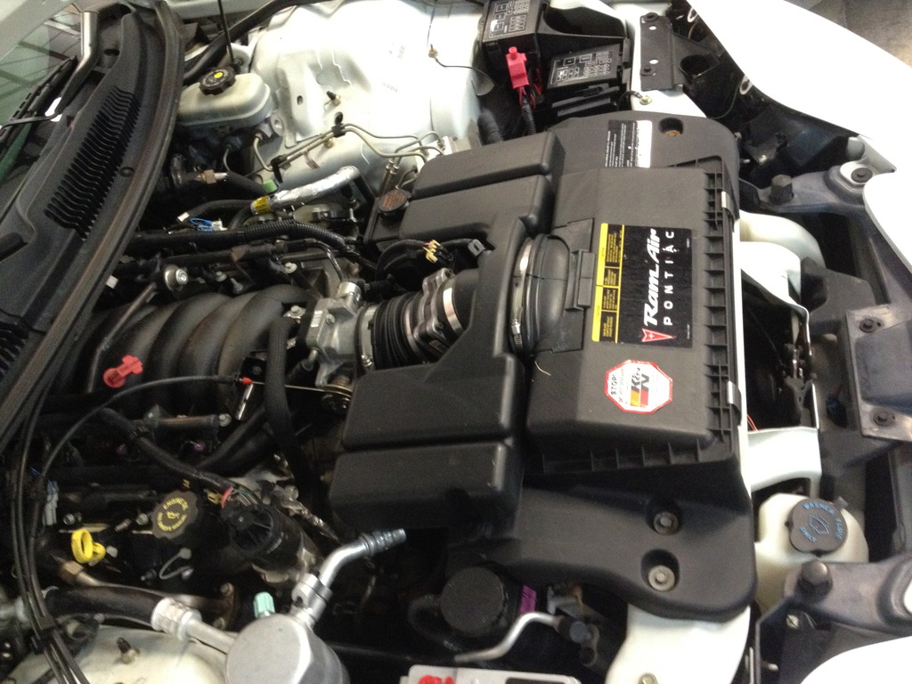 Name:  IMG_3126_zpssn0hezfz.jpg
Views: 27050
Size:  228.5 KB