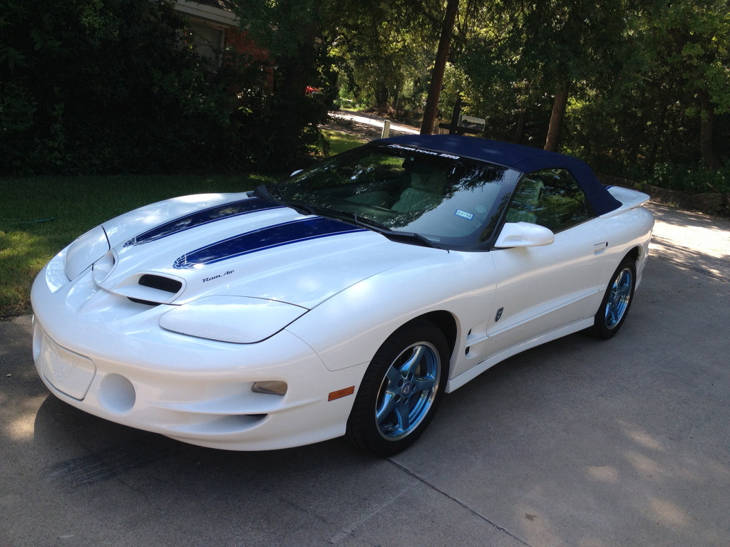 Name:  IMG_3136_zpssjvuwybg.jpg
Views: 27001
Size:  236.8 KB