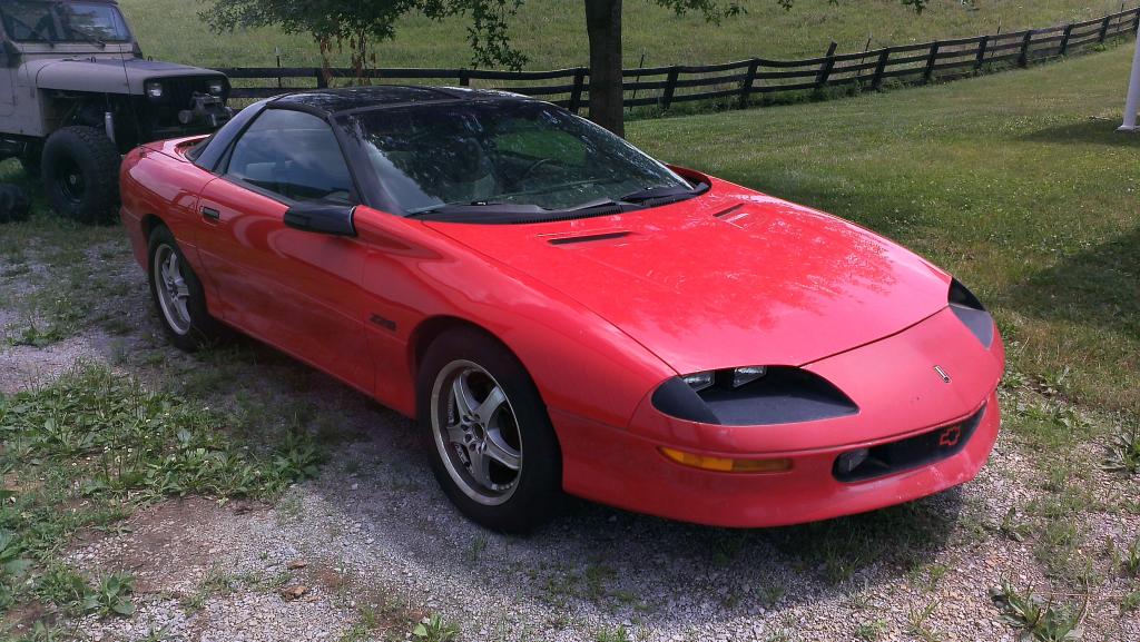 Name:  IMAG0336_zpspbiruvkw.jpg
Views: 50
Size:  133.3 KB