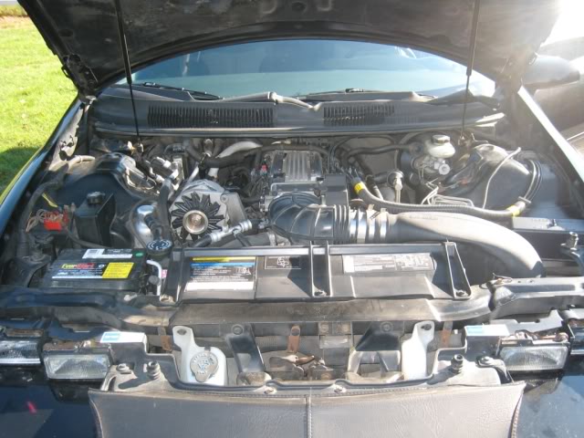 Name:  IMG_4768.jpg
Views: 30
Size:  66.3 KB