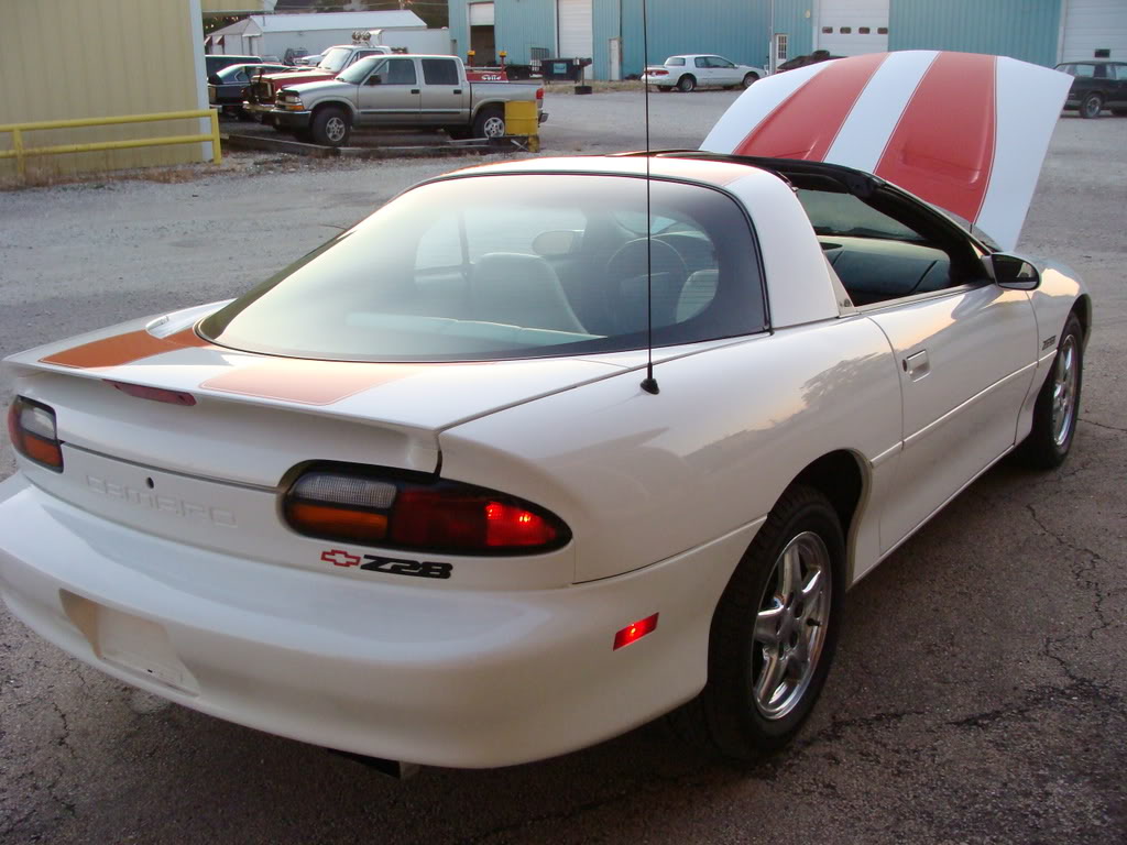 Name:  Picture047.jpg
Views: 375
Size:  125.7 KB
