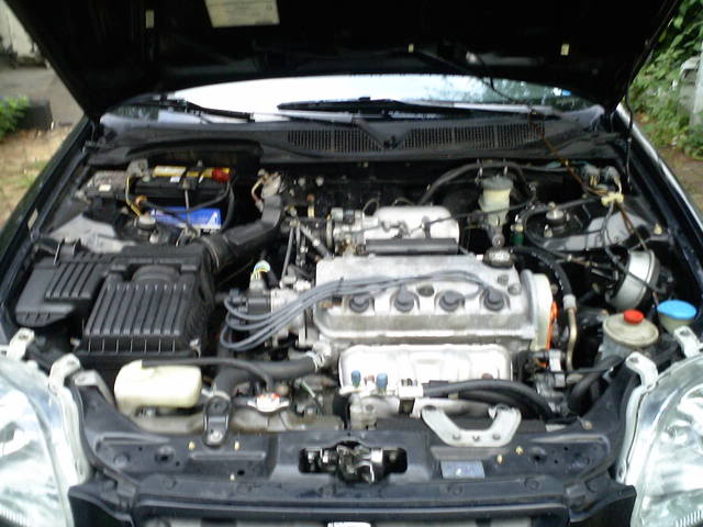 Name:  IMGA2065.jpg
Views: 12
Size:  52.0 KB