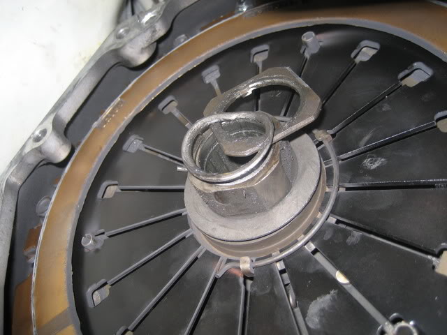 Name:  IMG_1491.jpg
Views: 1018
Size:  53.8 KB