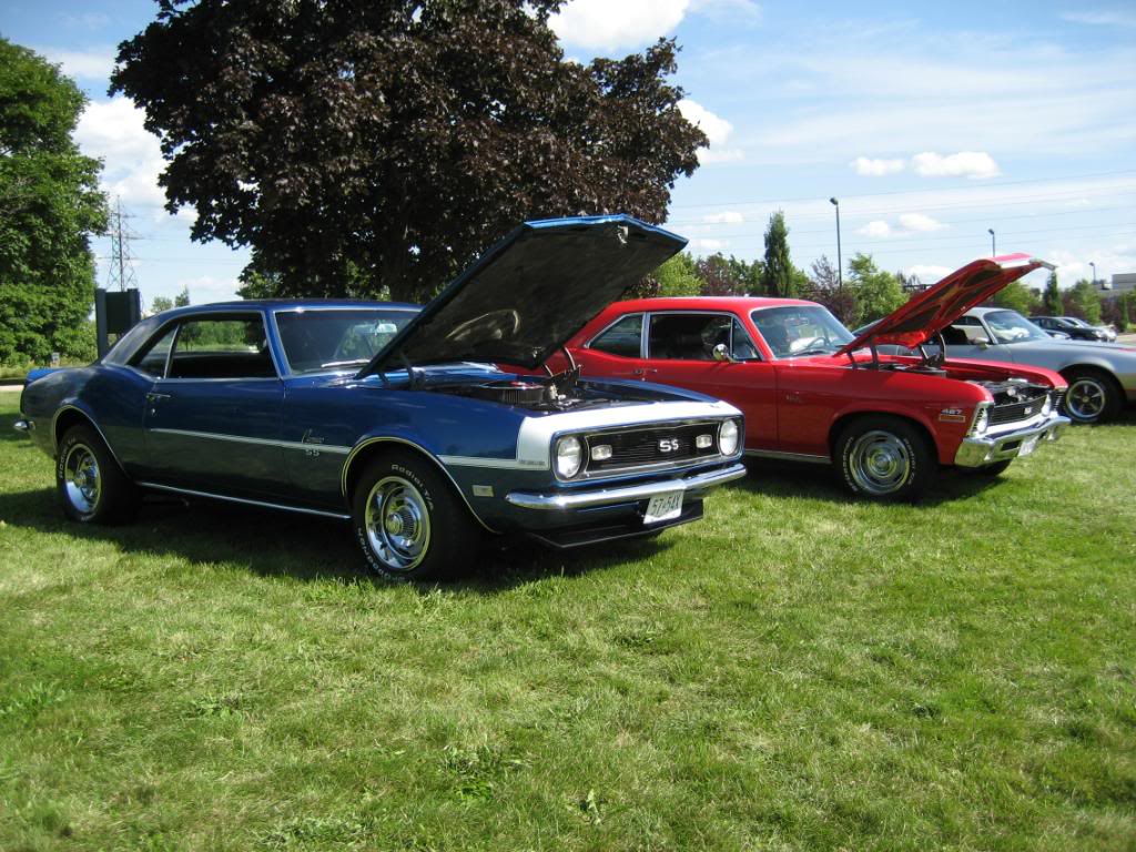 Name:  IMG_3207.jpg
Views: 46
Size:  157.4 KB