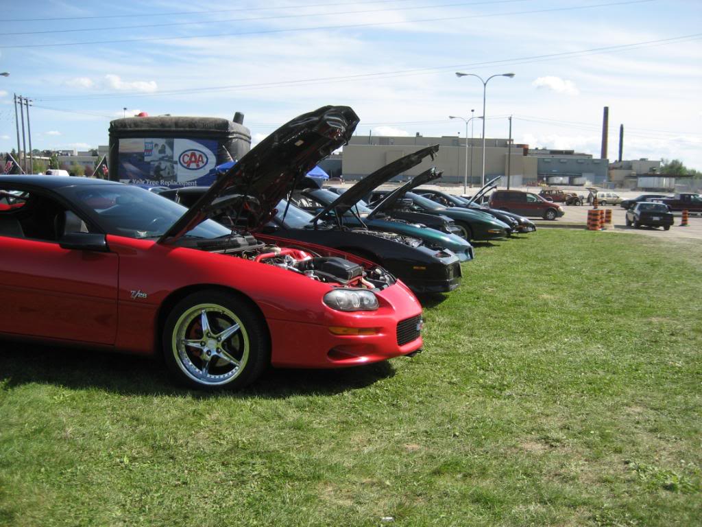 Name:  IMG_3219.jpg
Views: 44
Size:  131.9 KB