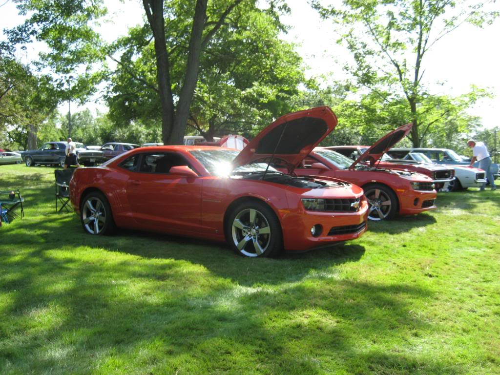 Name:  IMG_3152.jpg
Views: 45
Size:  151.2 KB