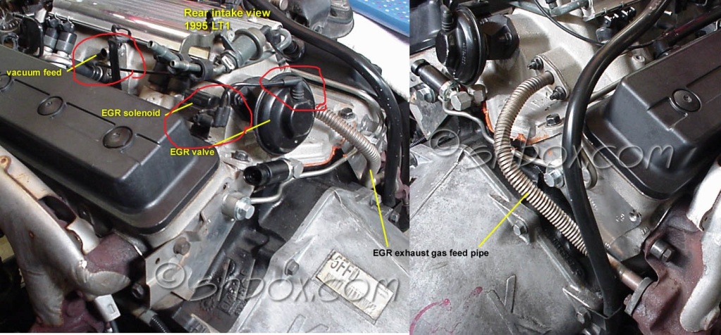 Name:  egr.jpg
Views: 49
Size:  207.7 KB