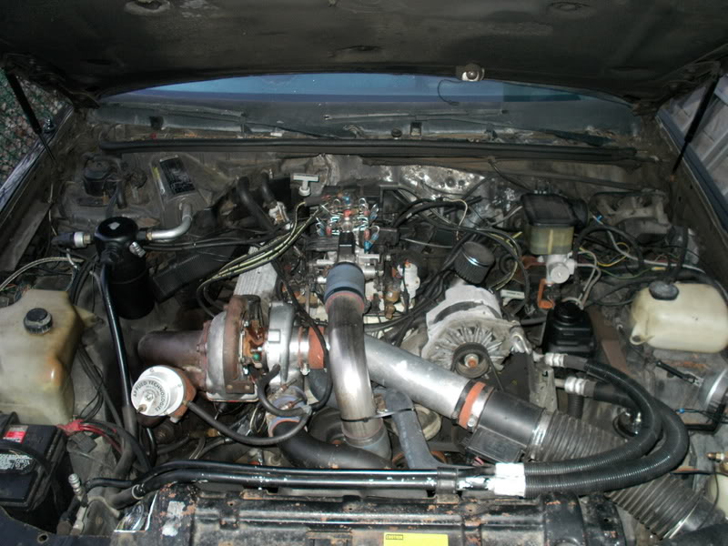 Name: DSCI0207.jpg
Views: 22
Size: 100.8 KB