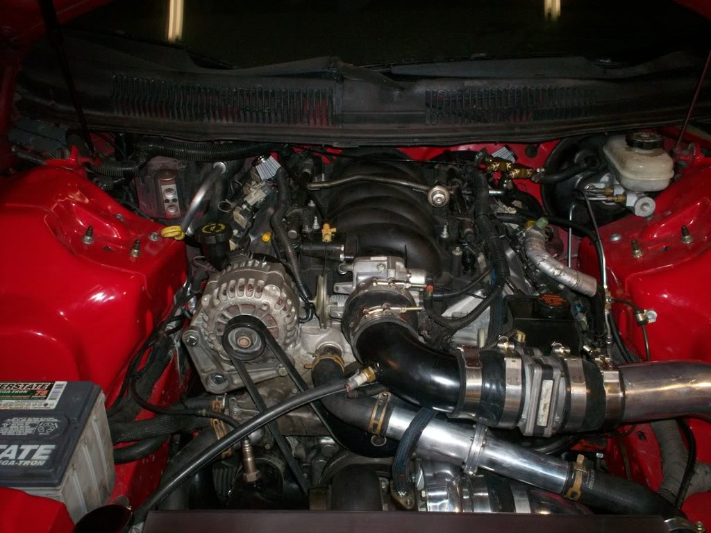 Name:  000_1168.jpg
Views: 177
Size:  125.3 KB