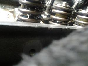 Does this look correct or not?-seal1.jpg