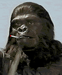 Name:  smokinape1MA12131213-0002.gif
Views: 319
Size:  15.6 KB