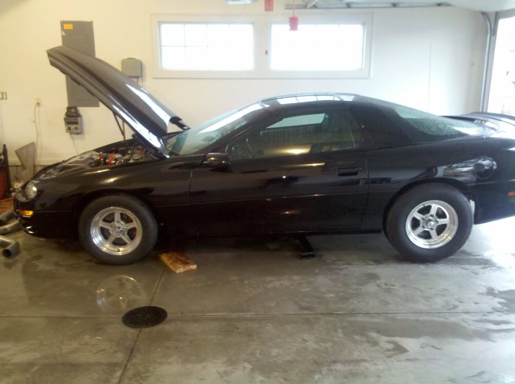 Name:  01e1cde0.jpg
Views: 13
Size:  88.9 KB