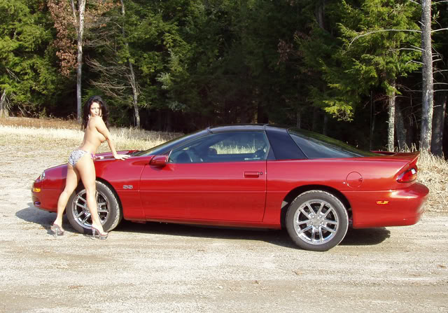 Name:  PB110002aa.jpg
Views: 19
Size:  94.0 KB