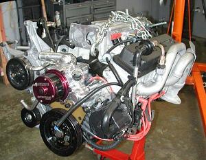 Another lt1 shorty header discussion. White lightning?-rogmotor02.jpg