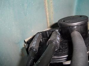 Don't Understand What's Wrong With My EVAP System-100_2984.jpg