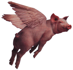 Name:  pig1.gif
Views: 16
Size:  19.0 KB