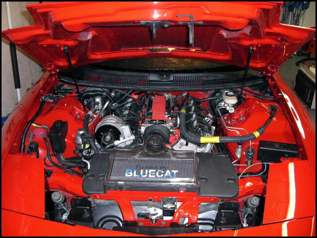 Name:  CIMG0021_edited.jpg
Views: 173
Size:  180.5 KB