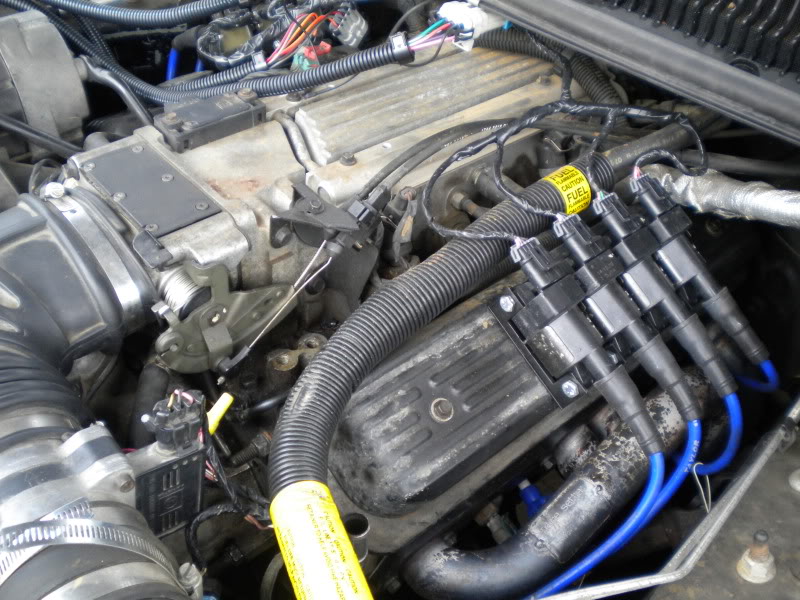 Name:  DSCN0843.jpg
Views: 42
Size:  152.0 KB