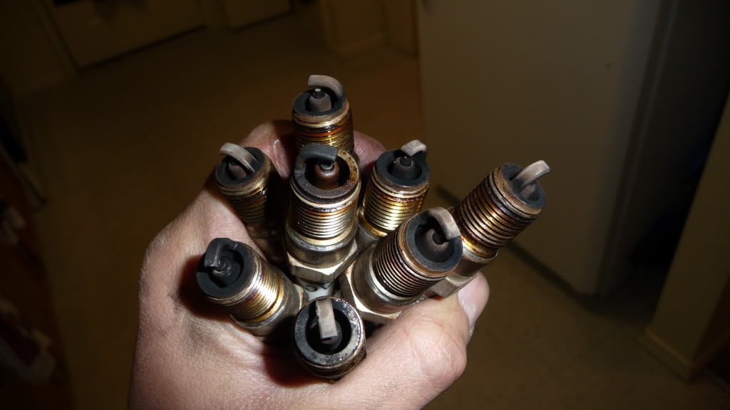 Name:  CamaroYAH011.jpg
Views: 44
Size:  71.0 KB