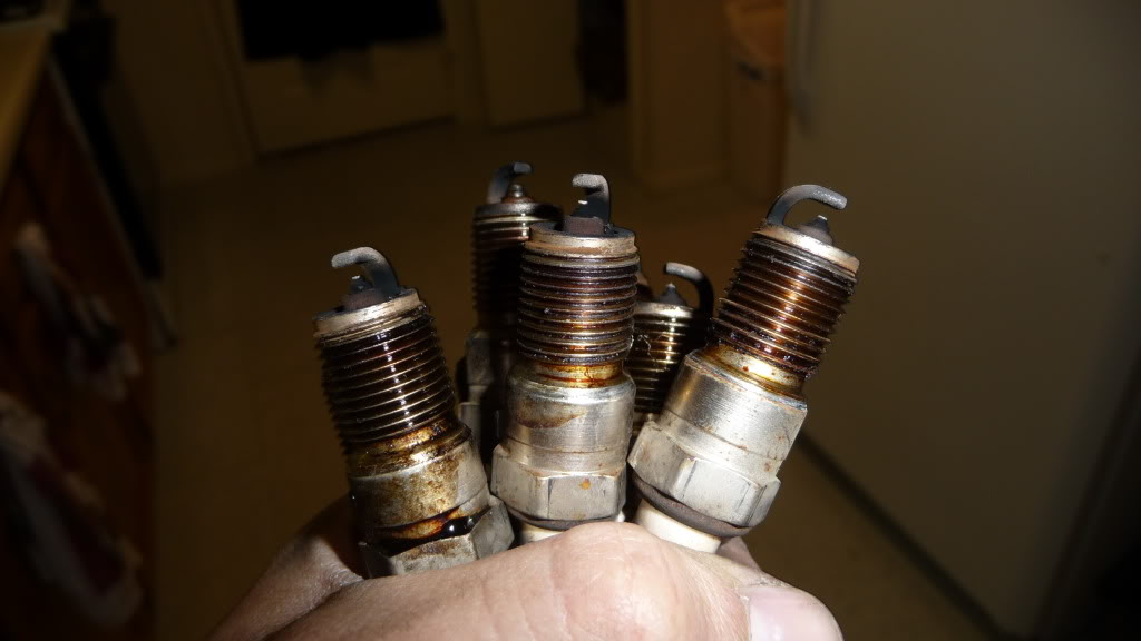 Name:  CamaroYAH012.jpg
Views: 63
Size:  68.1 KB