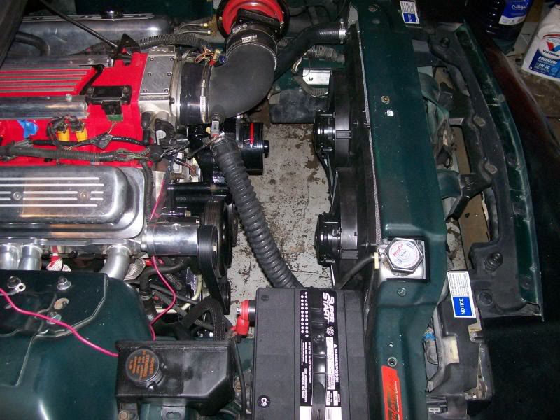 Name:  100_0480-1.jpg
Views: 2041
Size:  95.7 KB