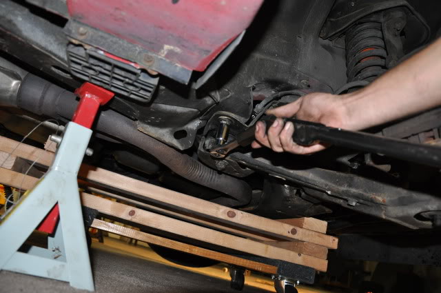 Name:  DSC_0977.jpg
Views: 50
Size:  88.3 KB