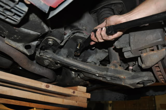 Name:  DSC_0978.jpg
Views: 33
Size:  83.6 KB