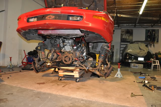 Name:  DSC_1005.jpg
Views: 66
Size:  99.5 KB