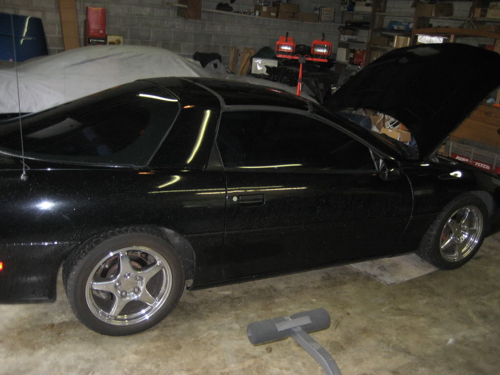 Name:  camaro002.jpg
Views: 18
Size:  119.3 KB