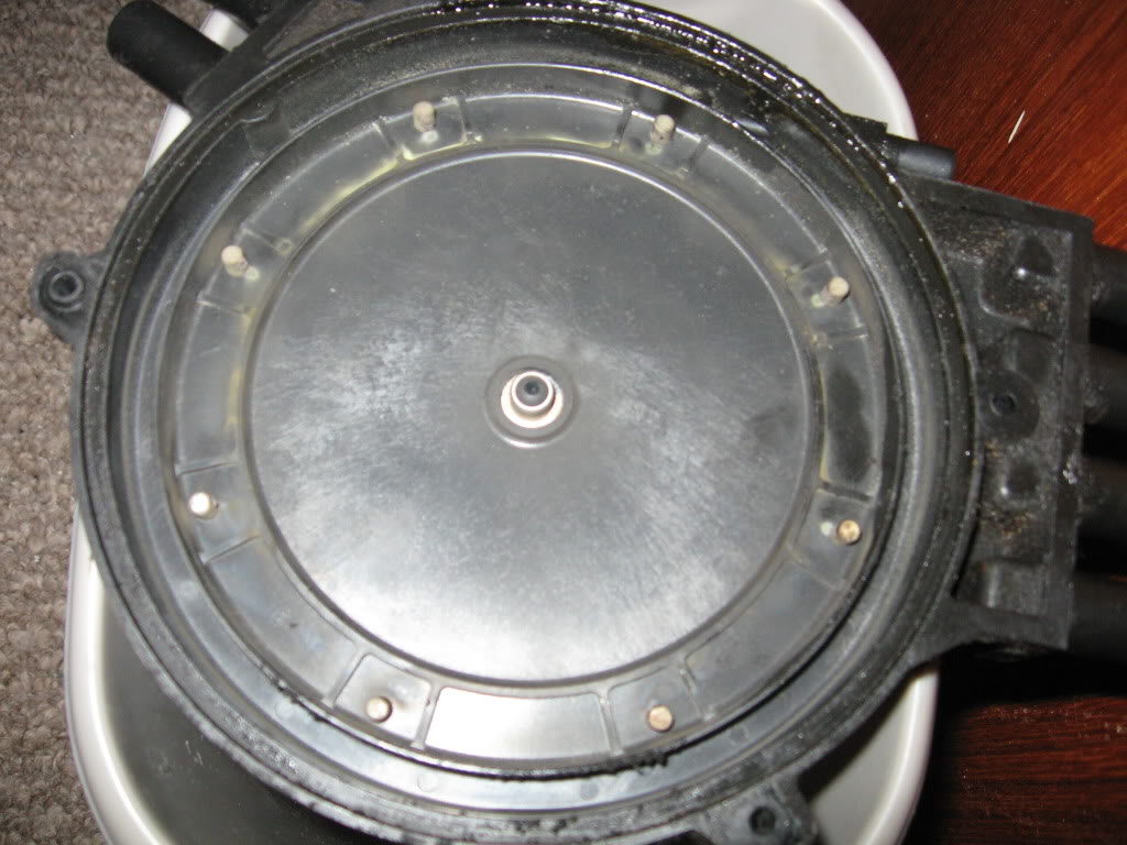 Name:  IMG_0832.jpg
Views: 22
Size:  122.4 KB