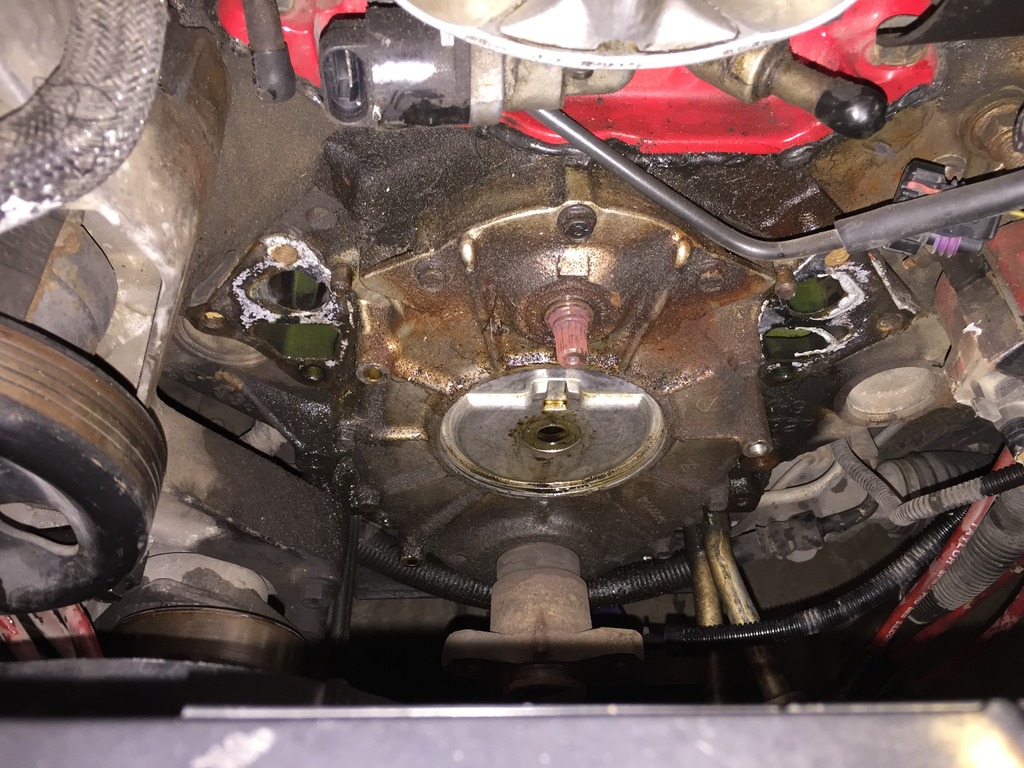 Name:  IMG_5867.jpg
Views: 446
Size:  267.7 KB