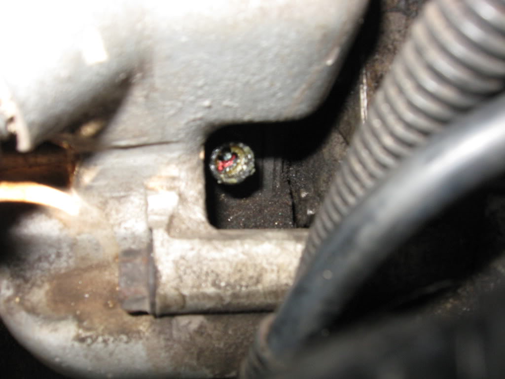 Name:  IMG_0742.jpg
Views: 32
Size:  70.7 KB