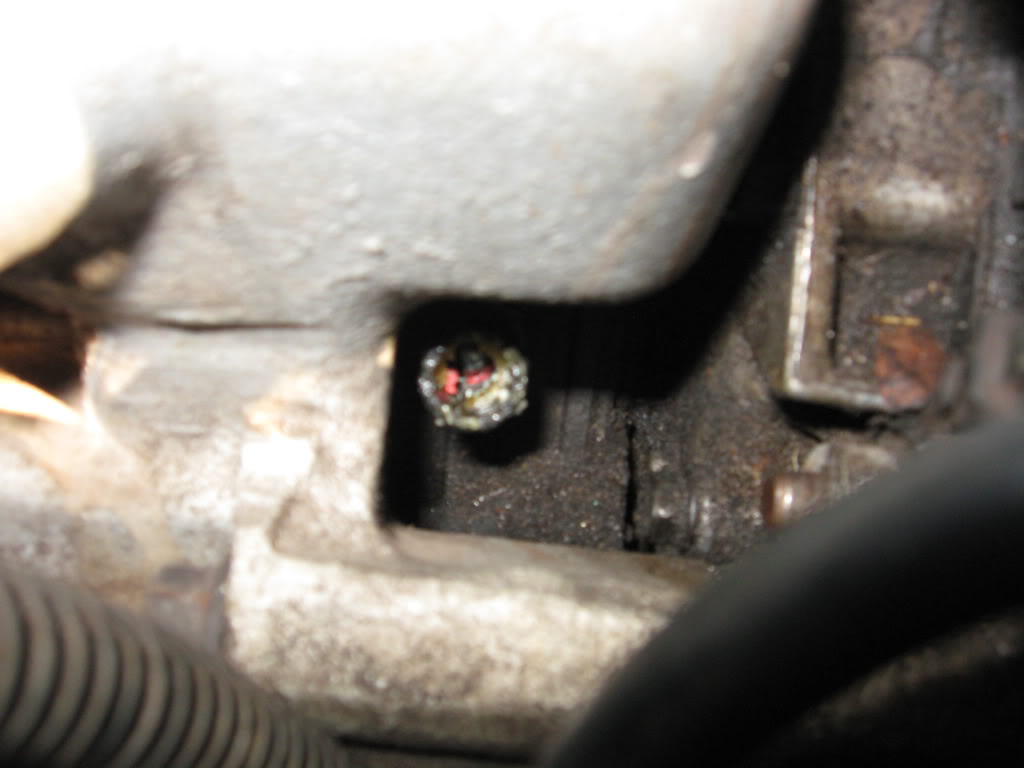 Name:  IMG_0748.jpg
Views: 24
Size:  67.3 KB