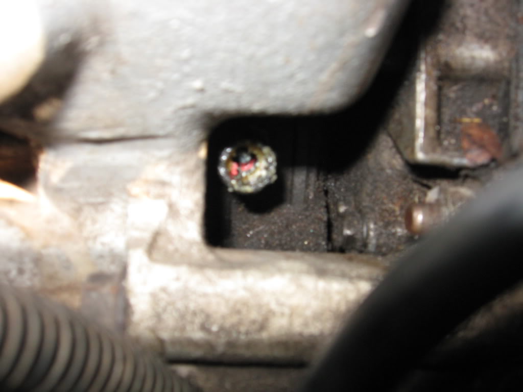 Name:  IMG_0749.jpg
Views: 25
Size:  65.8 KB