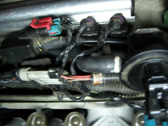 Name:  100_0829.jpg
Views: 26
Size:  52.7 KB