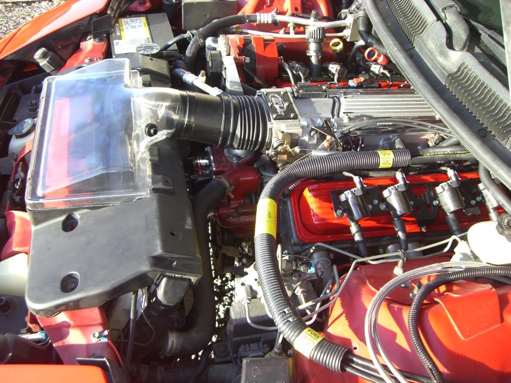 Name:  CIMG0080.jpg
Views: 331
Size:  156.3 KB