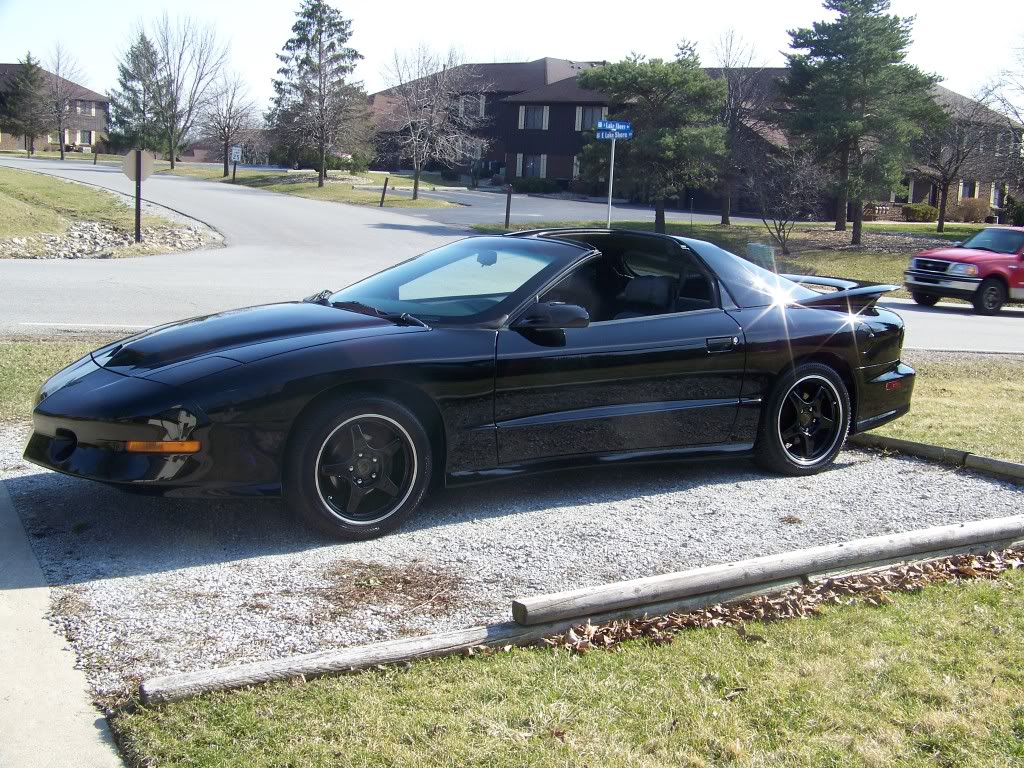 Name:  100_0893.jpg
Views: 53
Size:  255.8 KB