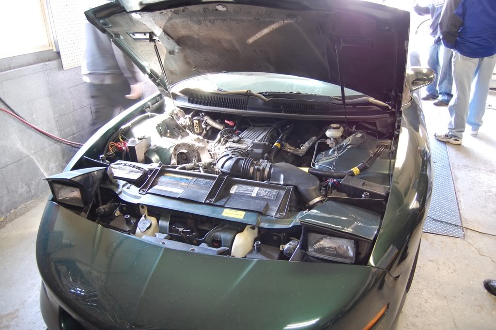 Name:  DSC_1941.jpg
Views: 29
Size:  154.3 KB
