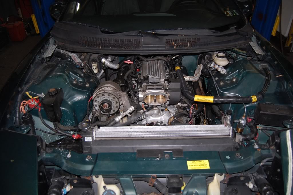 Name:  DSC_1811.jpg
Views: 404
Size:  146.2 KB