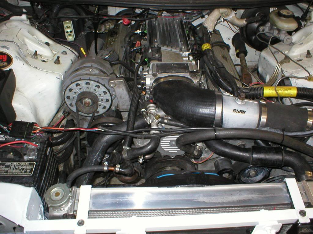 Name:  finL6.jpg
Views: 838
Size:  125.1 KB
