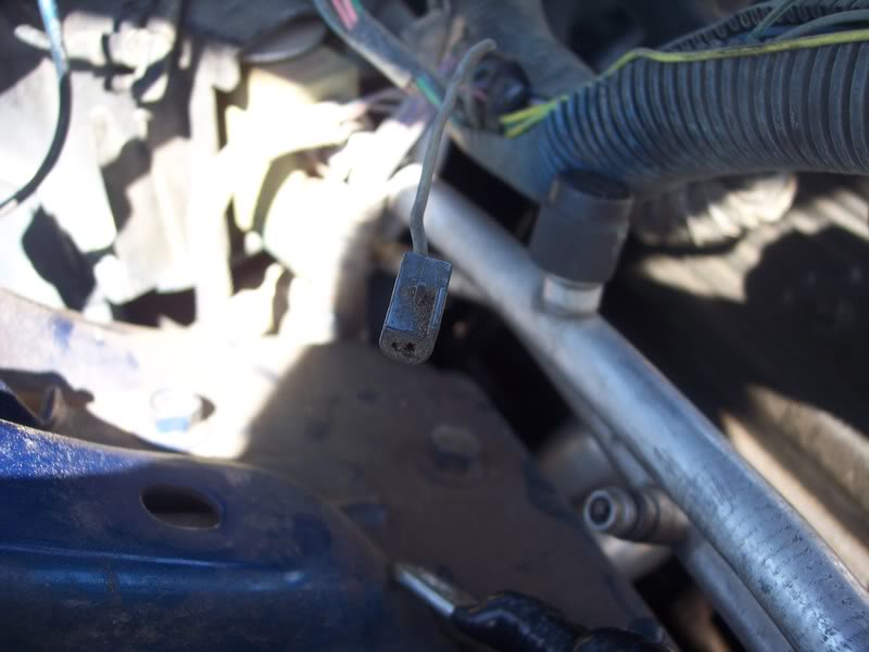 Name:  102_2675.jpg
Views: 36
Size:  48.9 KB