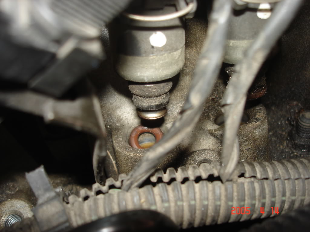 Name:  DSC01000.jpg
Views: 10
Size:  95.8 KB