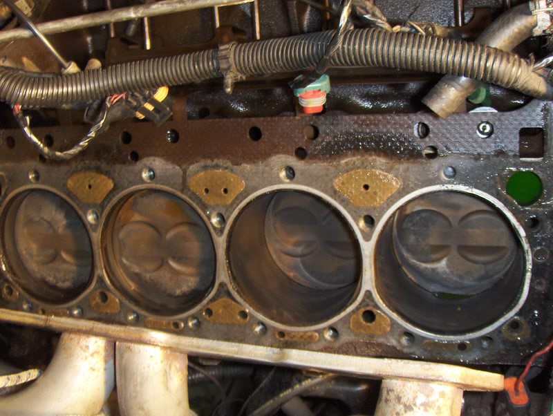 Name:  HPIM0379.jpg
Views: 22
Size:  87.2 KB