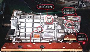Unknown engine stutter-t56conns.jpg