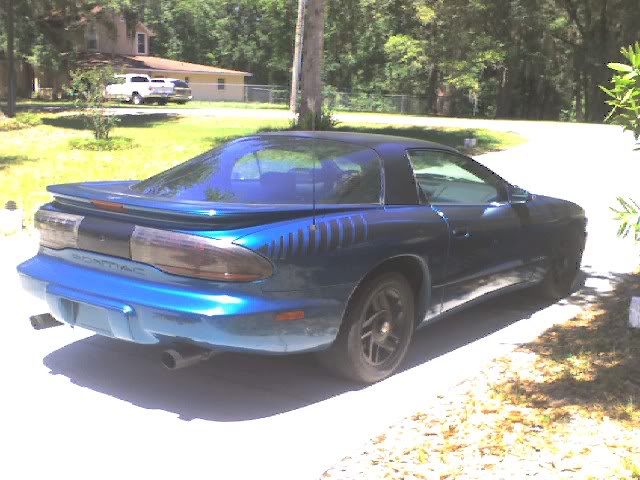 Name:  Bird2-1.jpg
Views: 112
Size:  61.3 KB