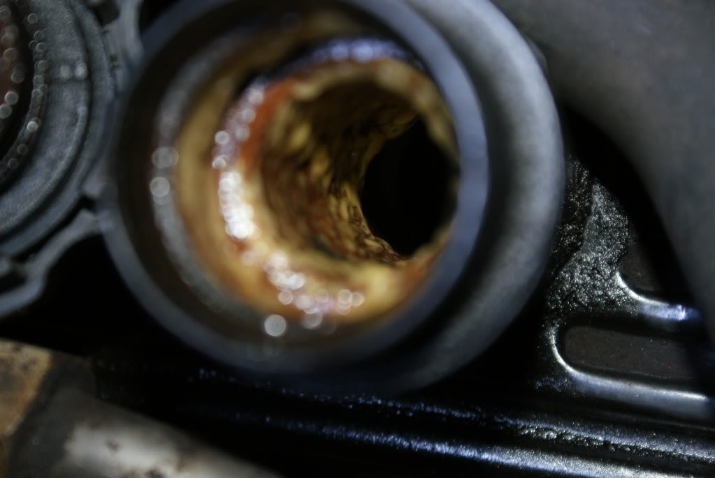 Name:  DSC09449.jpg
Views: 42
Size:  67.1 KB