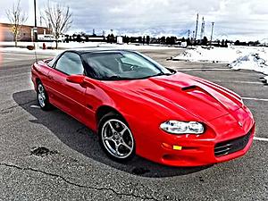 New Z-fb_img_1488453768993.jpg